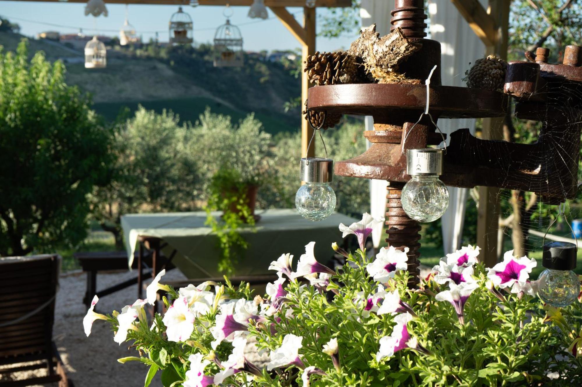 Relaxing Farmhouse San Marino Zewnętrze zdjęcie