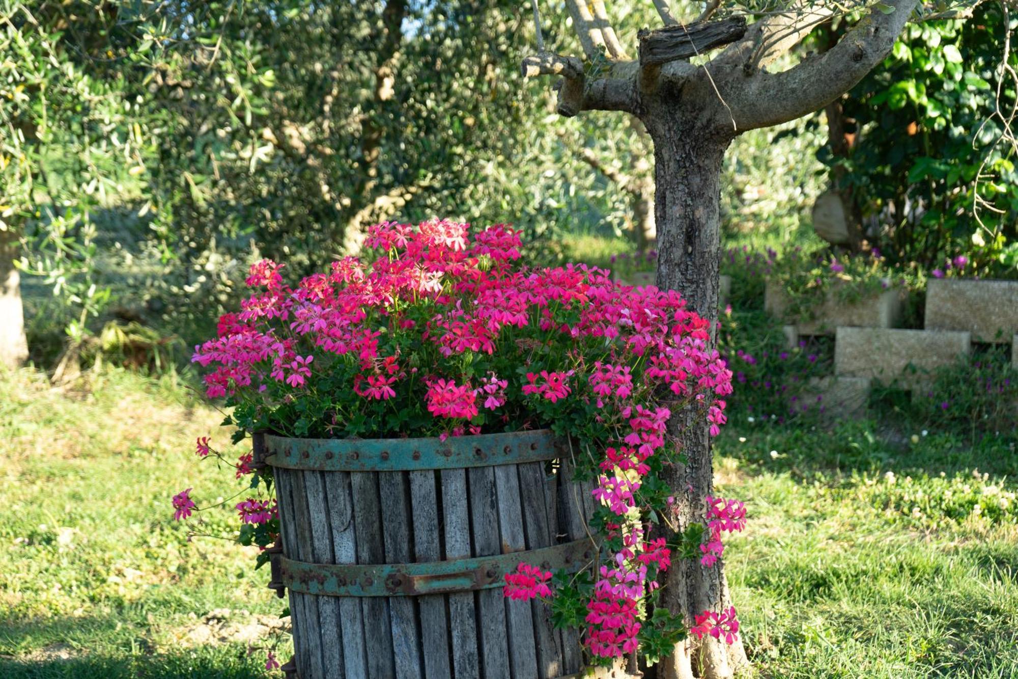 Relaxing Farmhouse San Marino Zewnętrze zdjęcie