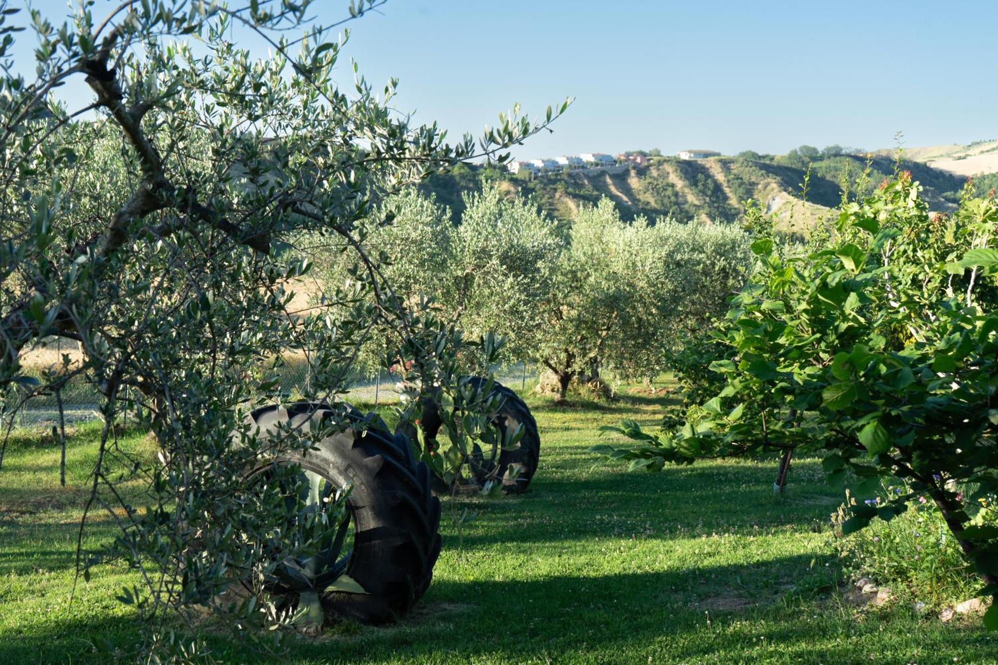 Relaxing Farmhouse San Marino Zewnętrze zdjęcie