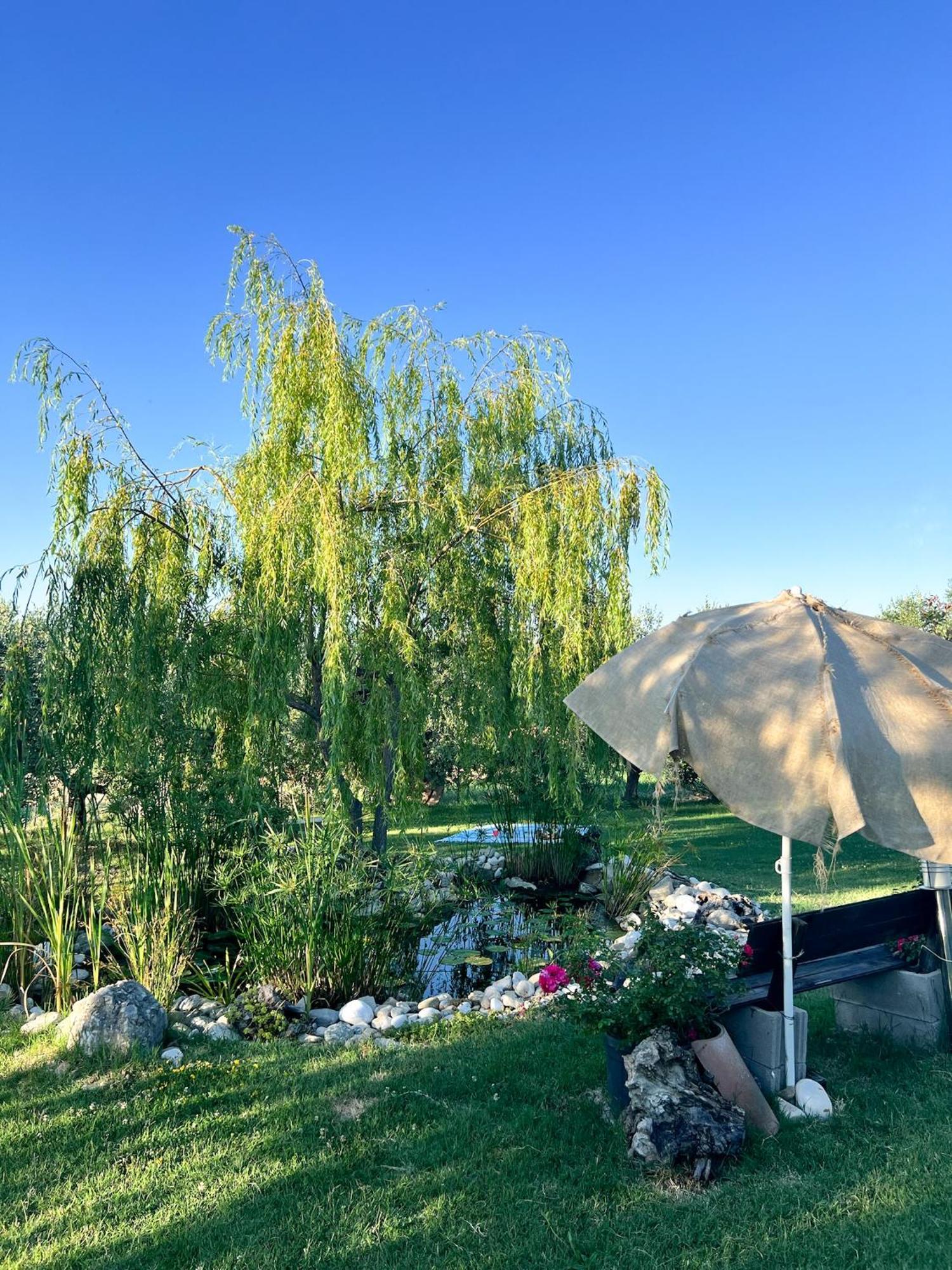 Relaxing Farmhouse San Marino Zewnętrze zdjęcie