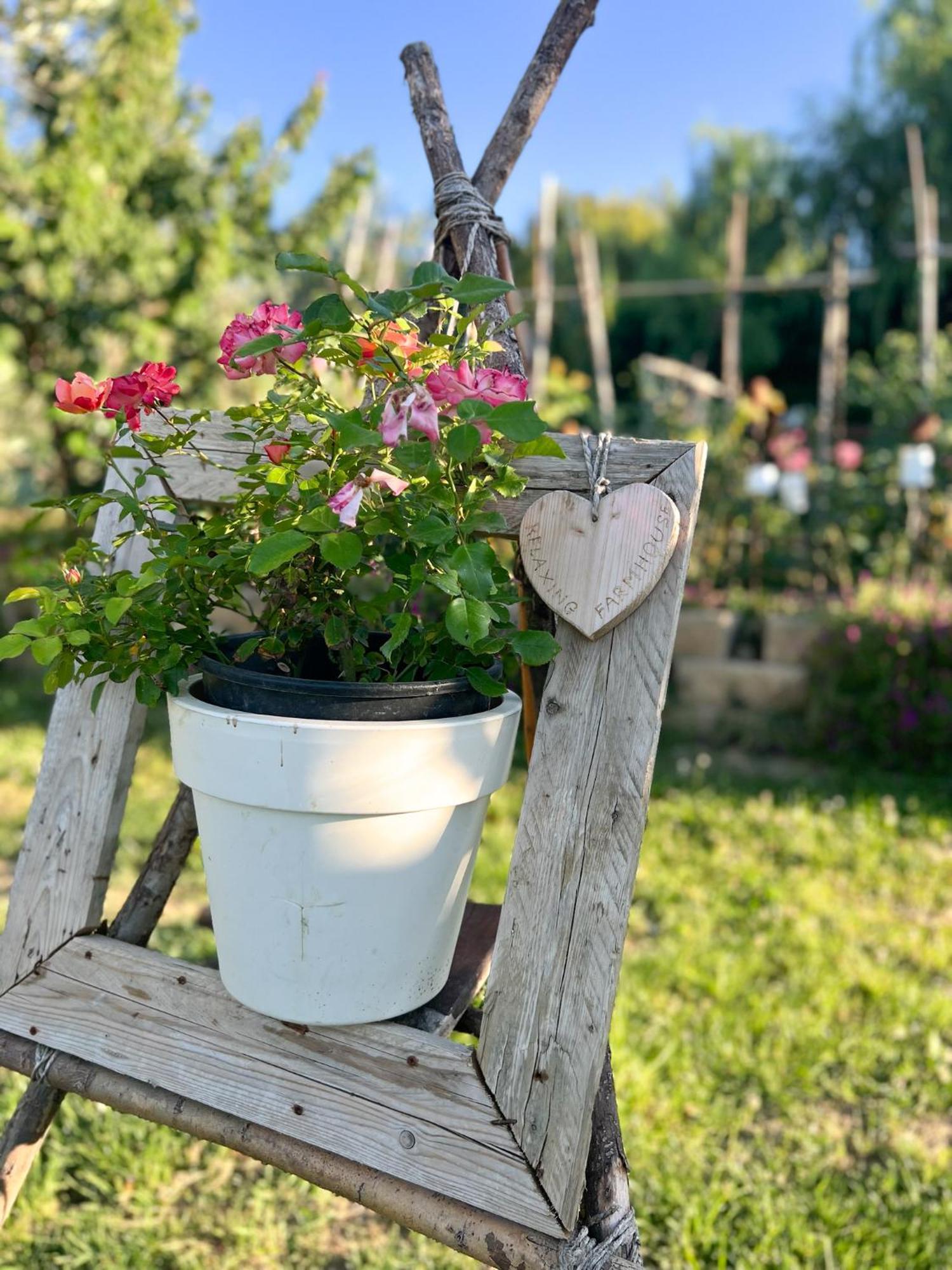 Relaxing Farmhouse San Marino Zewnętrze zdjęcie