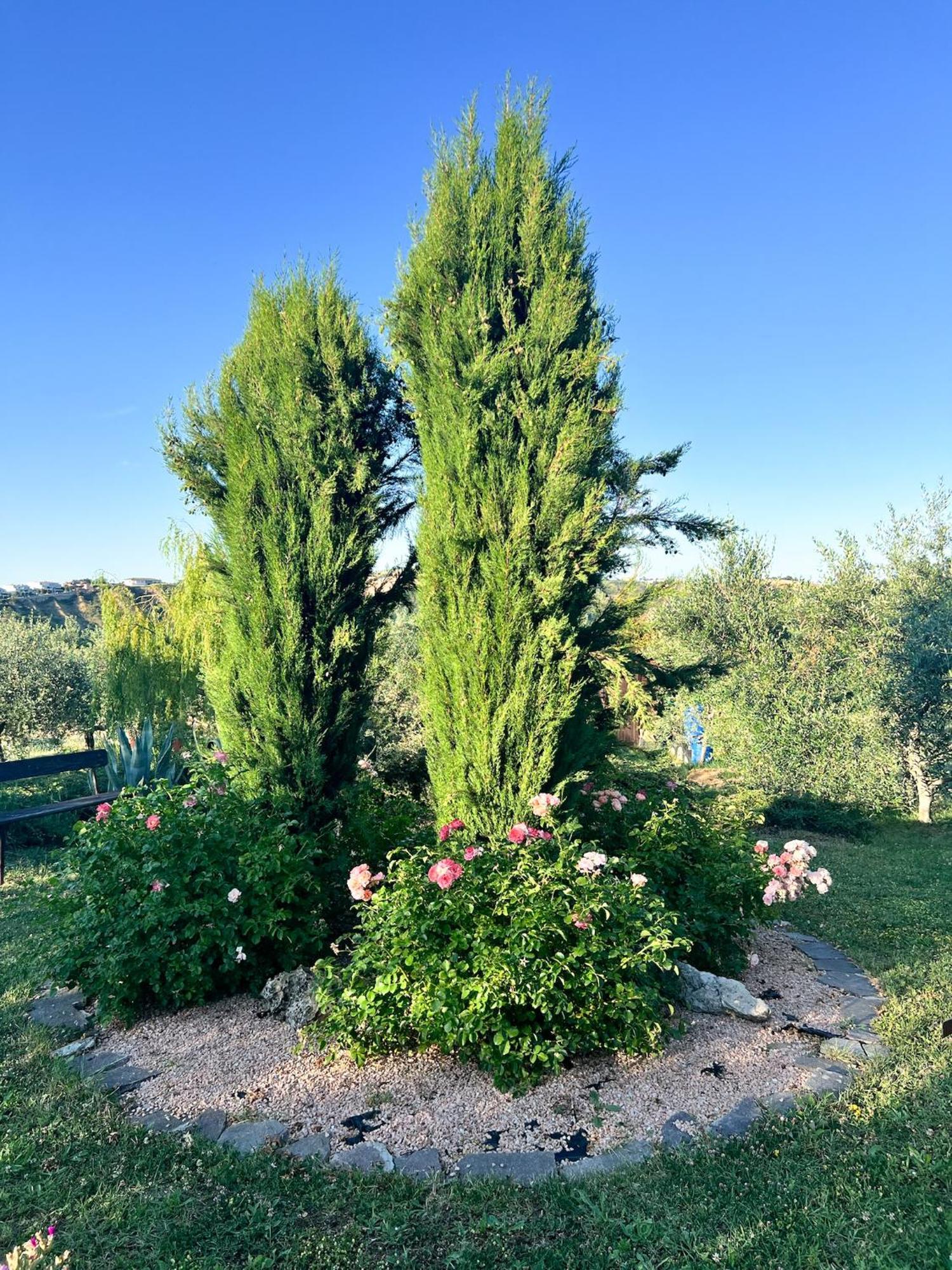 Relaxing Farmhouse San Marino Zewnętrze zdjęcie